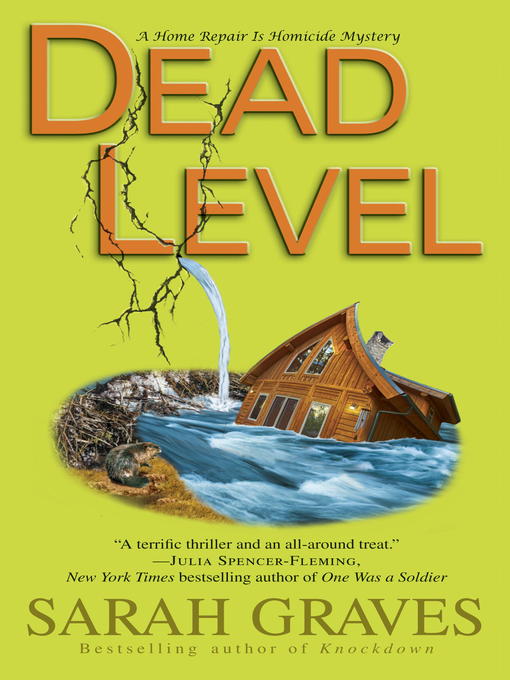 Cover image for Dead Level